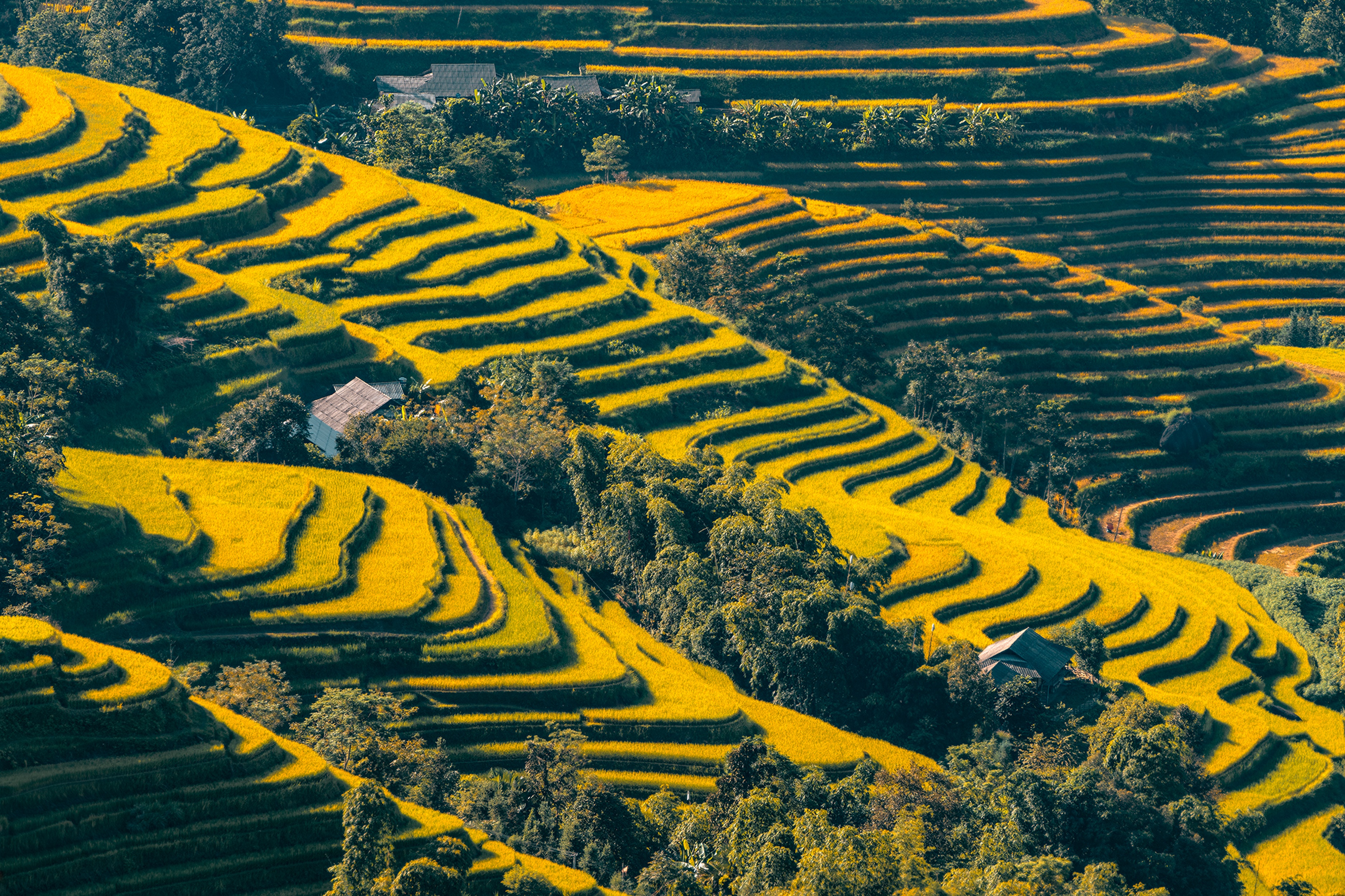 乡村龙脊梯田风景摄影图片-优客之家